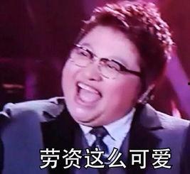 韩红跟谁对唱表情包,表情包引爆网络
