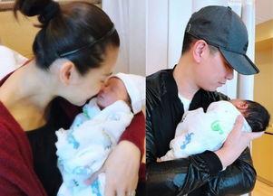 胡杏儿老公家庭背景,权势与财富的完美结合