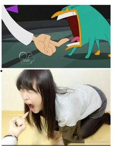 女神经搞笑图片,笑出腹肌的爆笑瞬间