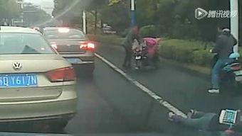 海狸的个人资料,智慧与坚韧并存的生态使者