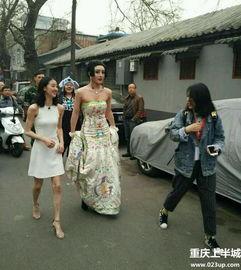 约吧大明星第二期音乐,音乐盛宴，星光熠熠